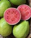 SABOR GOIABA
