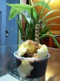 SORVETE SABOR FLOCOS