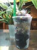 AÇAÍ NO COPO